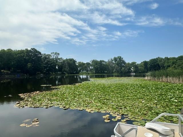 where the dock is on the water