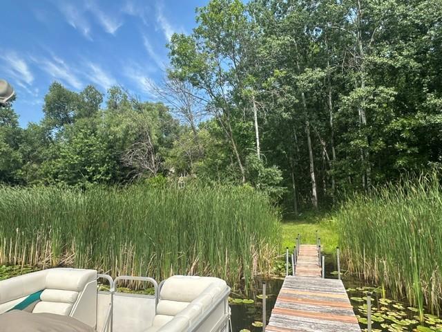 Dock and pontoon-these are the neighbors