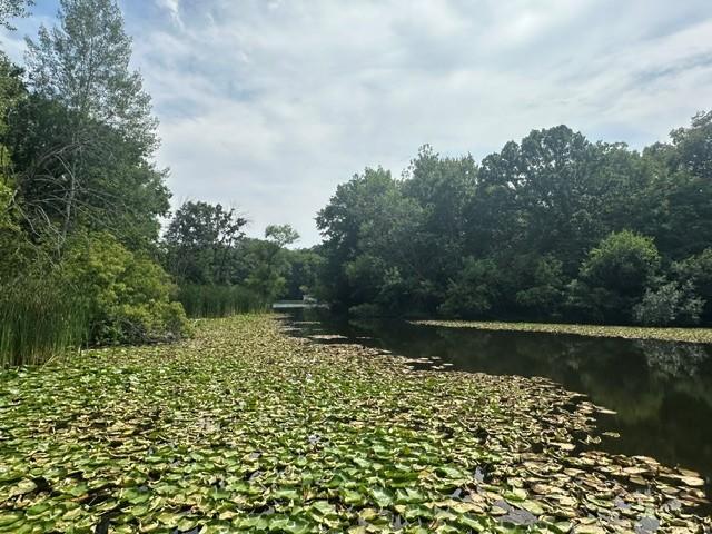 view of dock of back bay the other direction