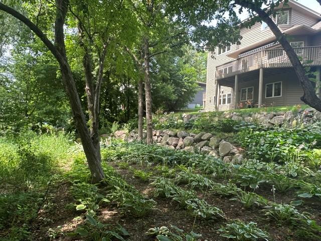 Hosta's & lillies