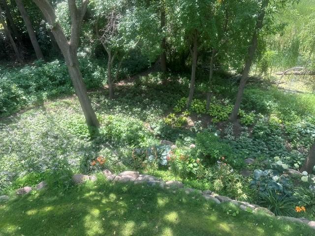 View from deck of the landscaping