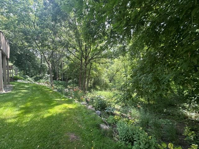 Grass back yard