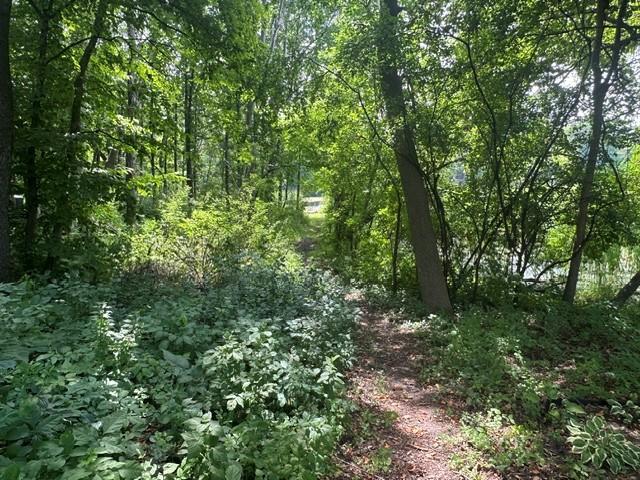 Path to the lake