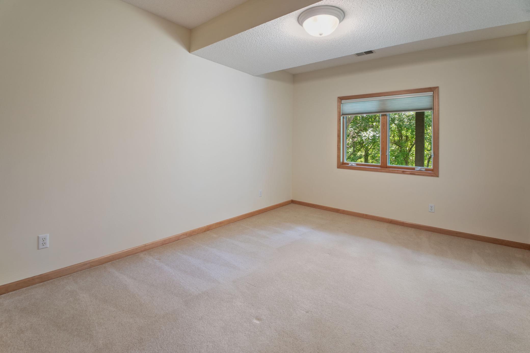 Lower level bedroom
