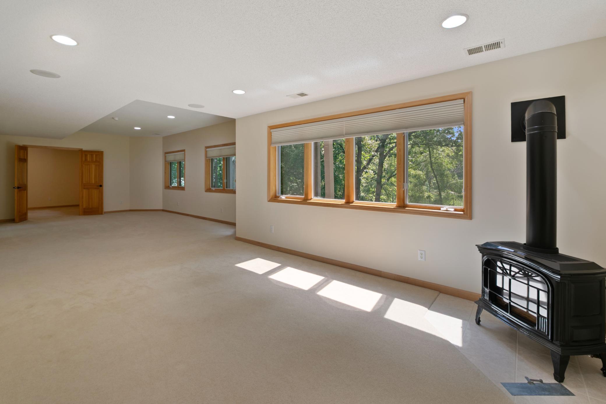 Lower level family room areas