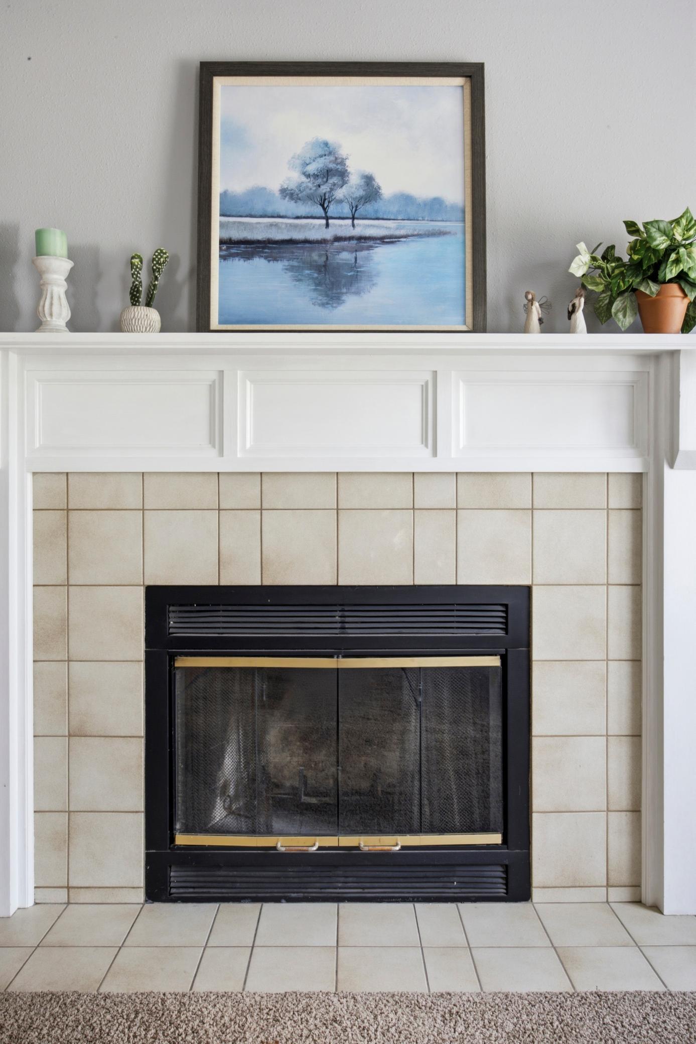 Fireplace (wood burning)