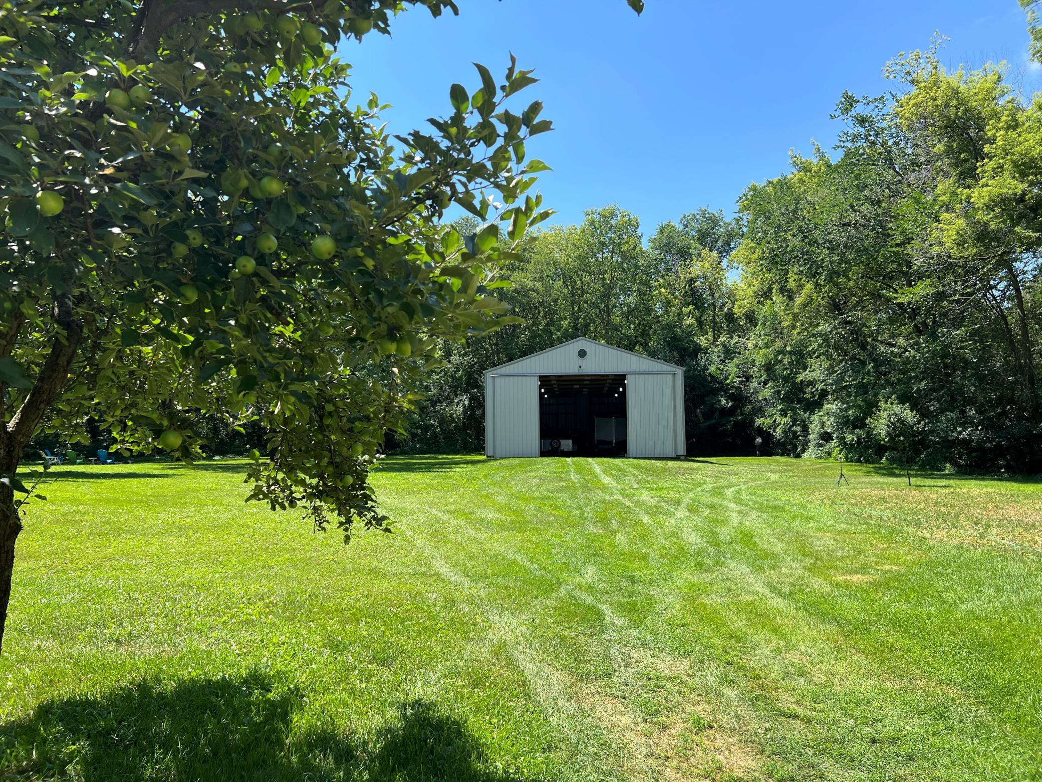 58851_Apple_Tree.jpg