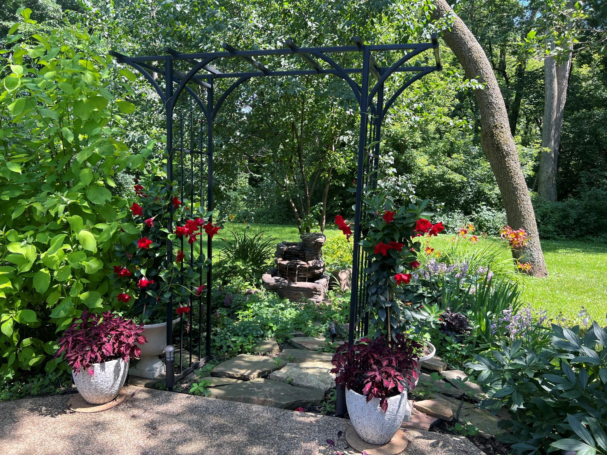 58851_Trellis.jpg
