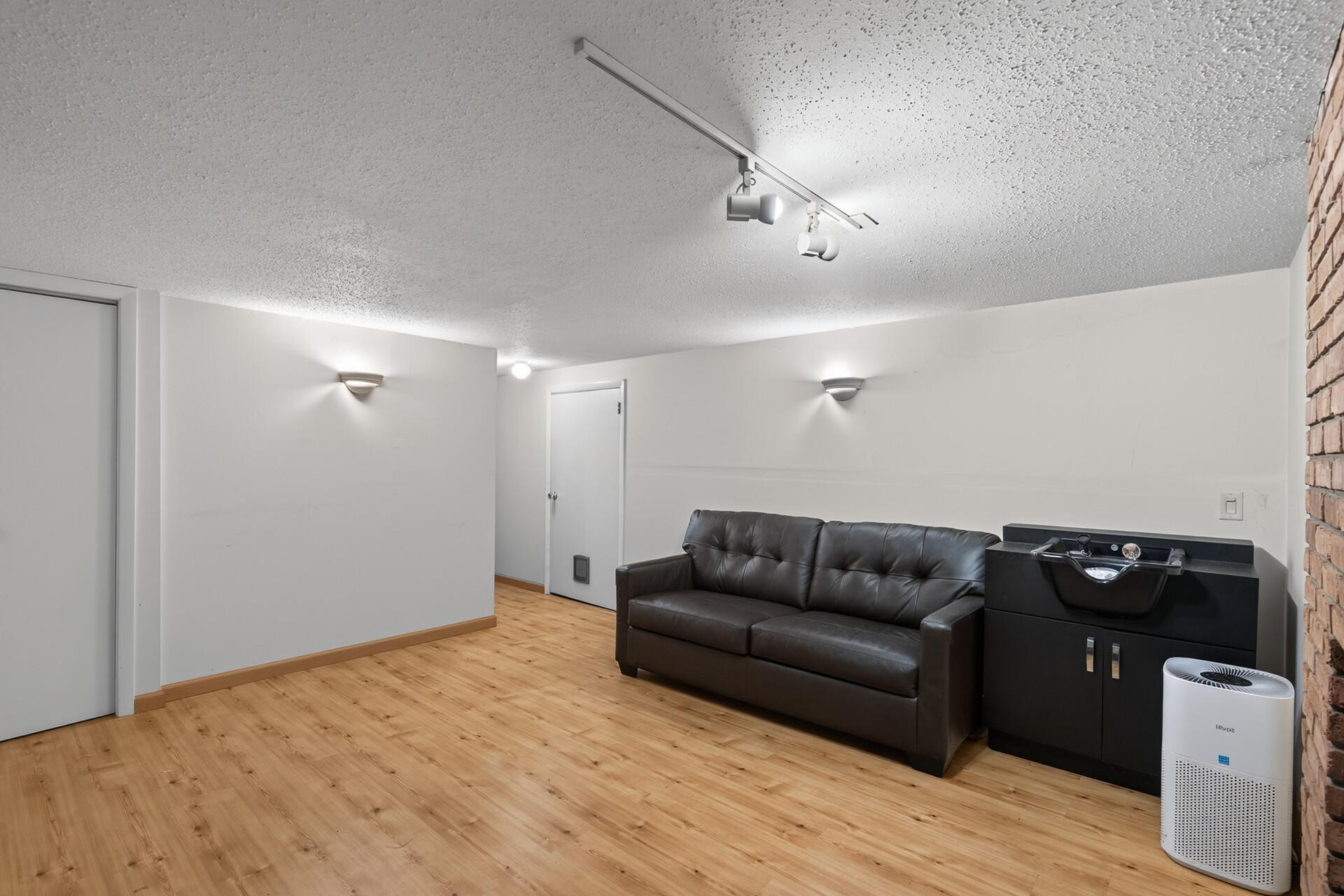 Lower level flex room.jpg