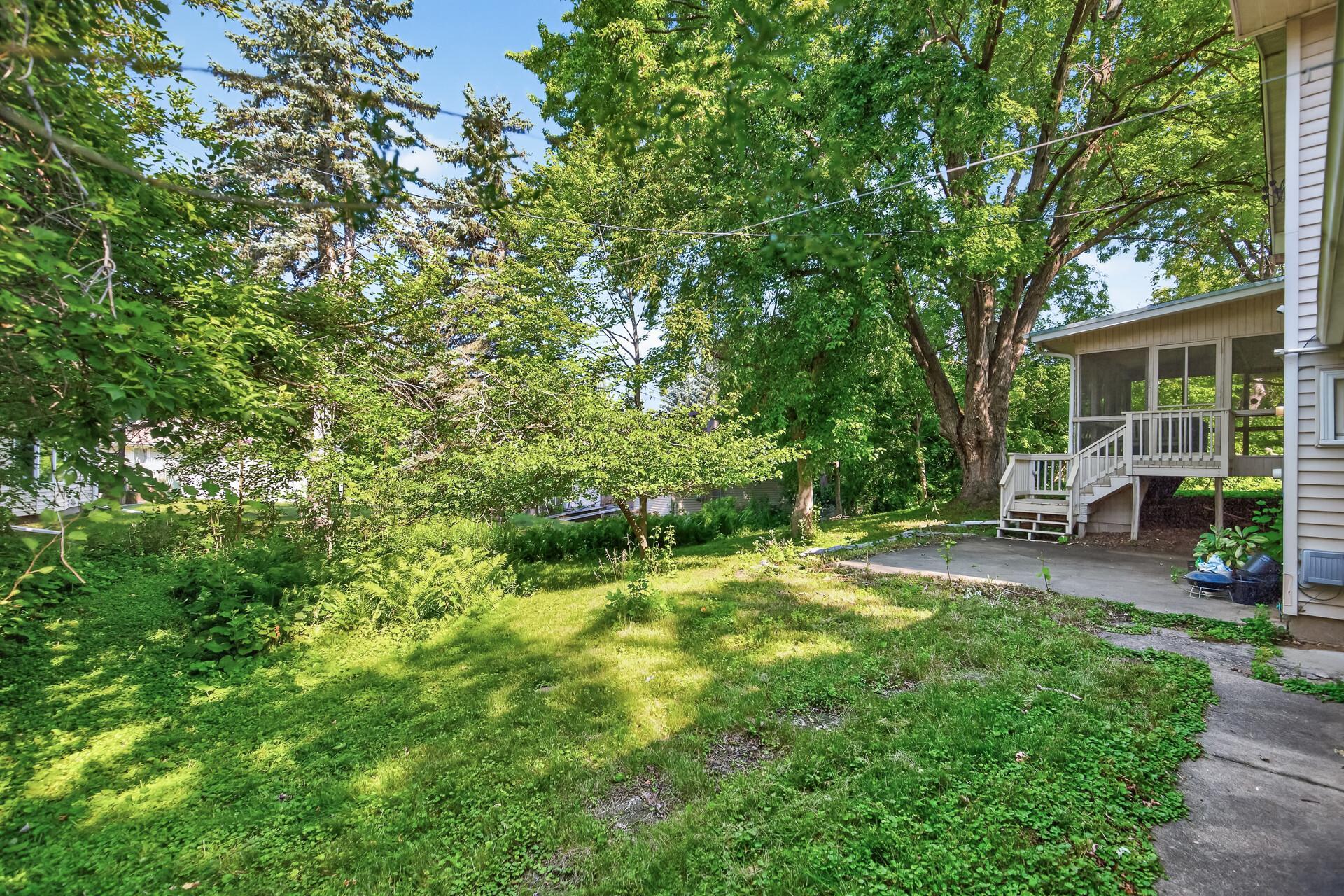 Back yard.jpg