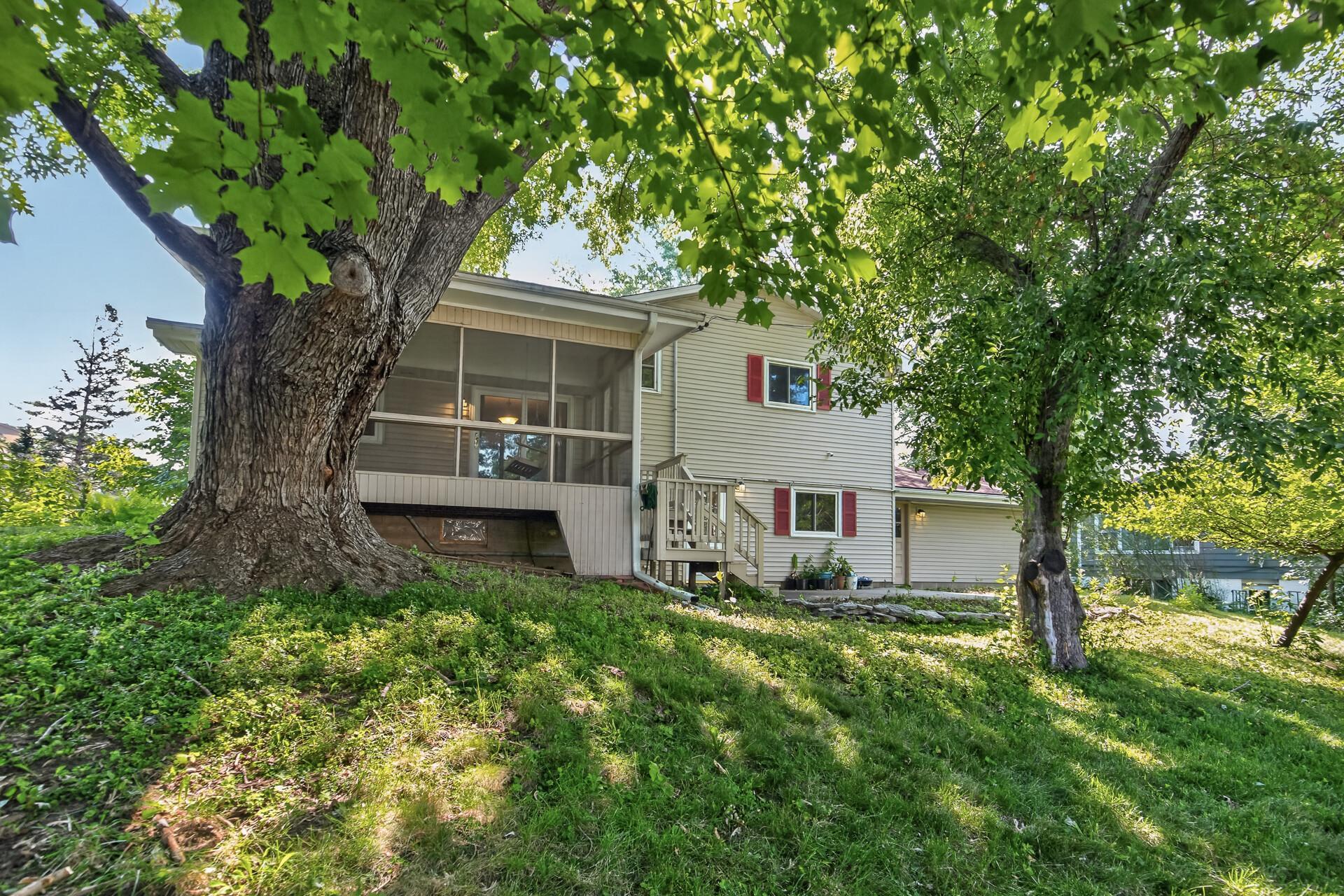 Back yard.jpg