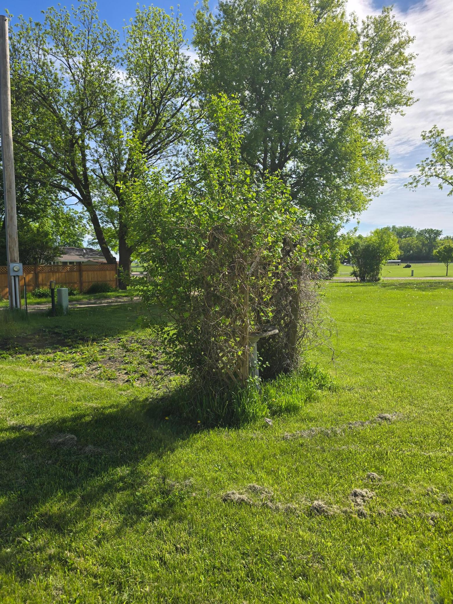 20260527_094646.jpg