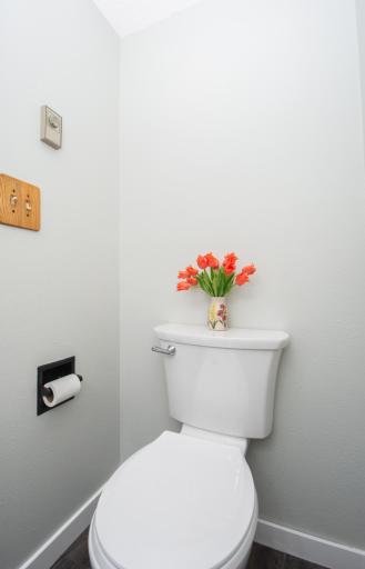 Main Floor Bath