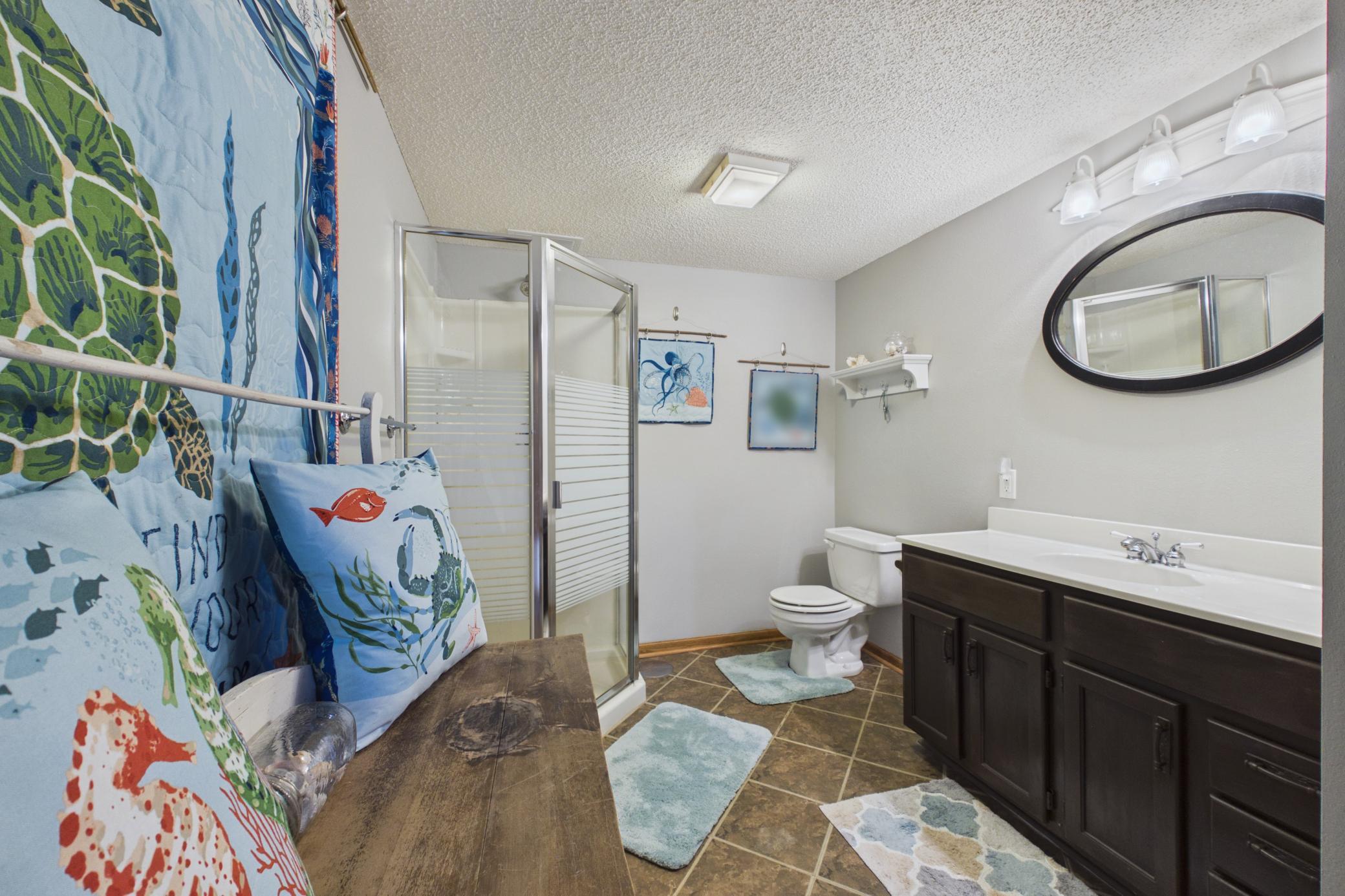 Lower level bathroom