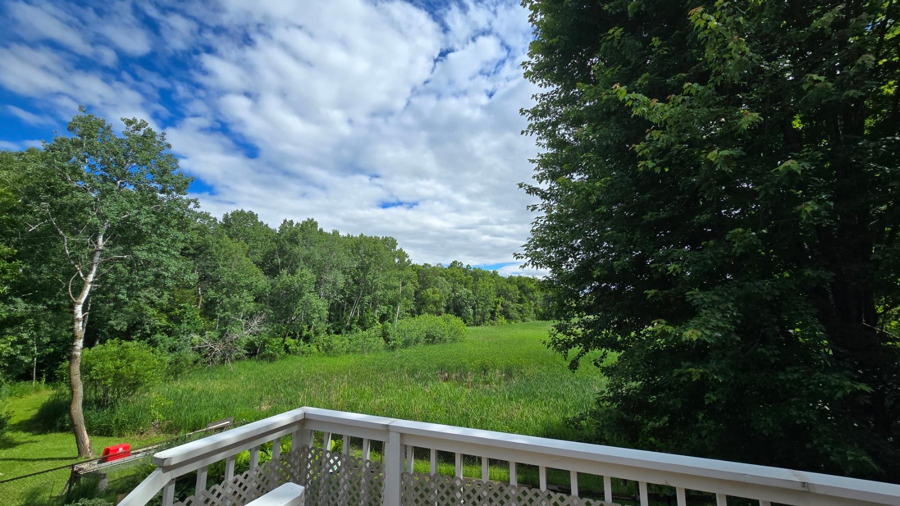 Backyard area with pond views