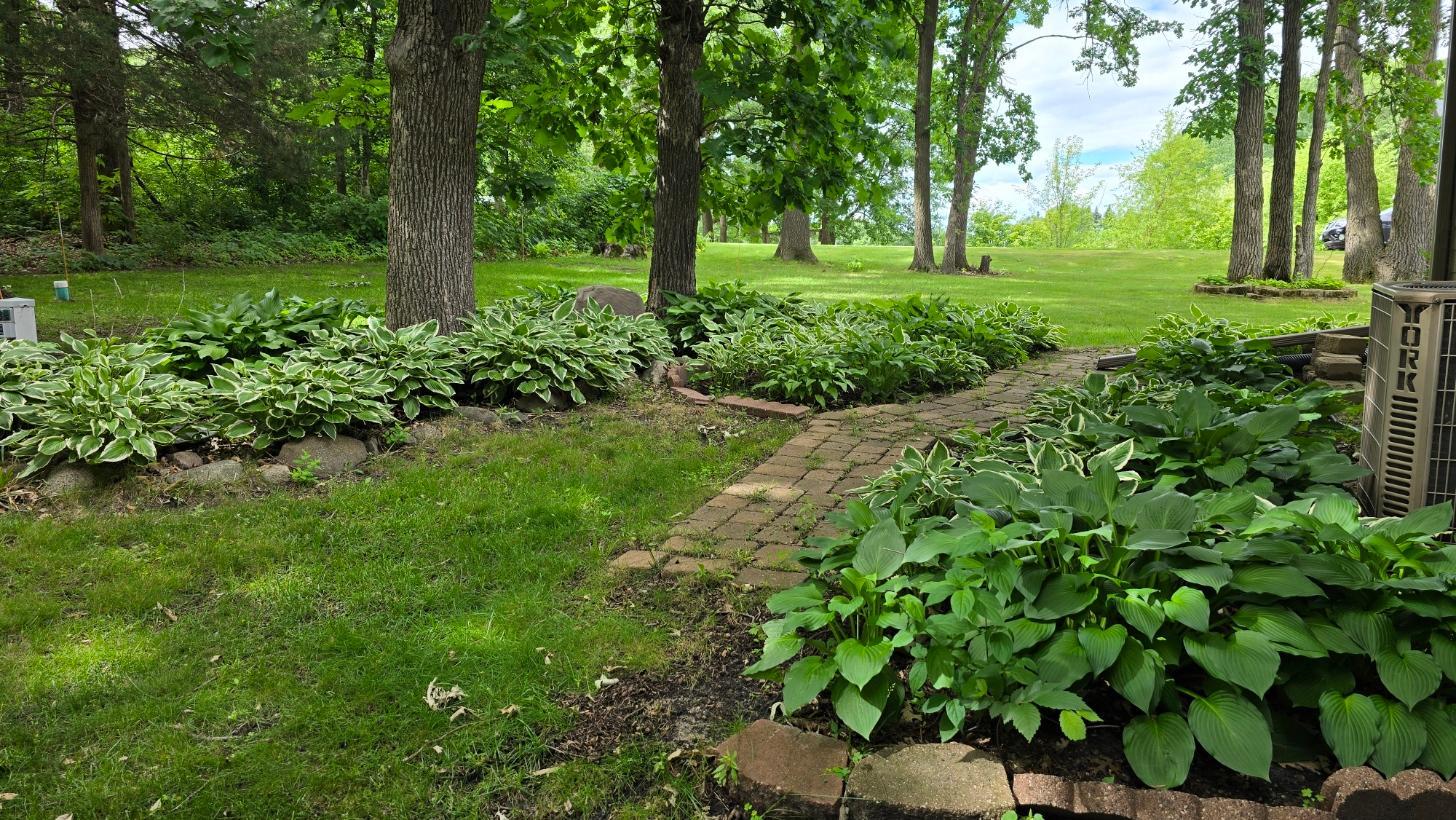 Perennial plants and established landscaping
