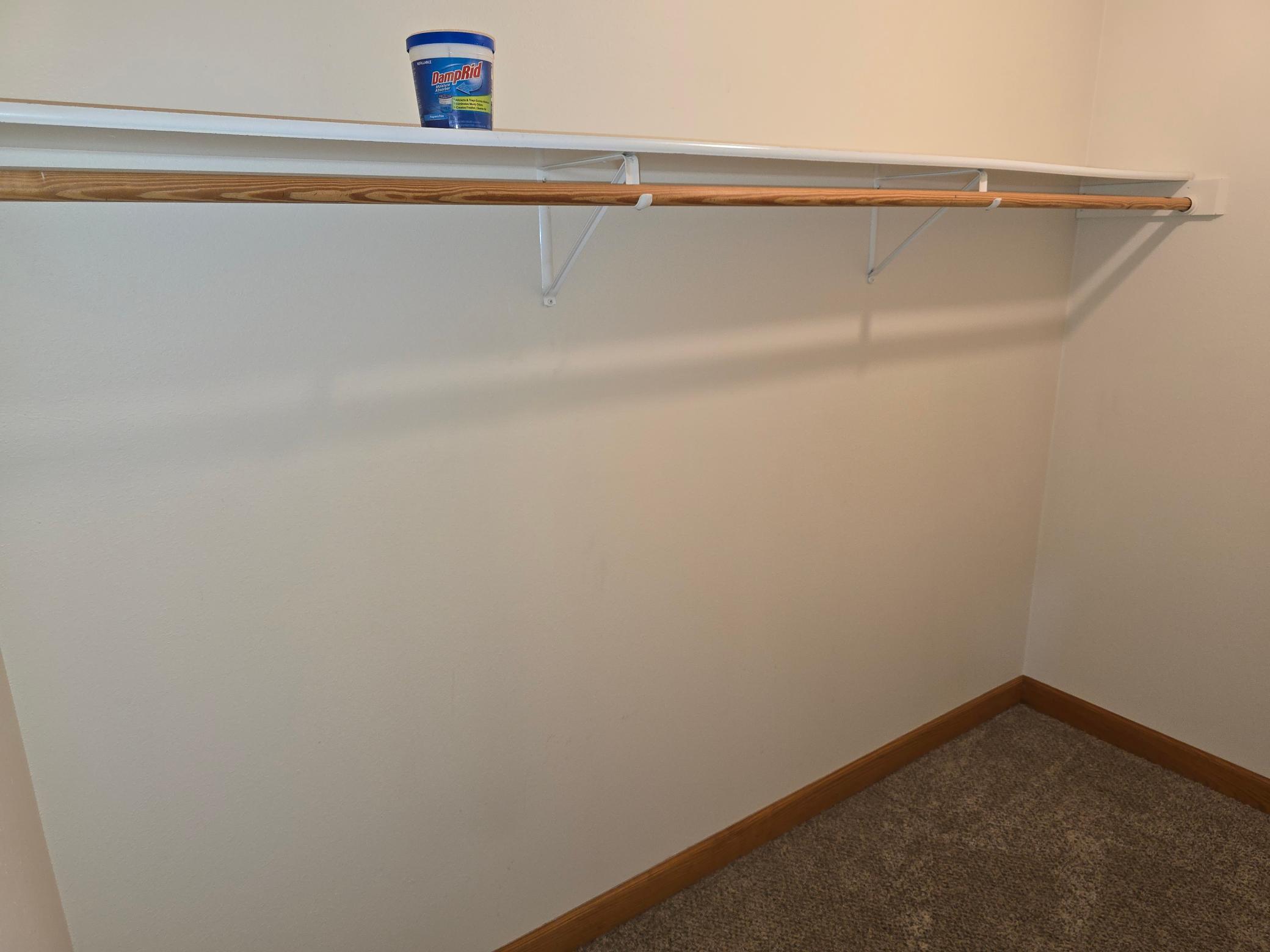Owners walk in closet