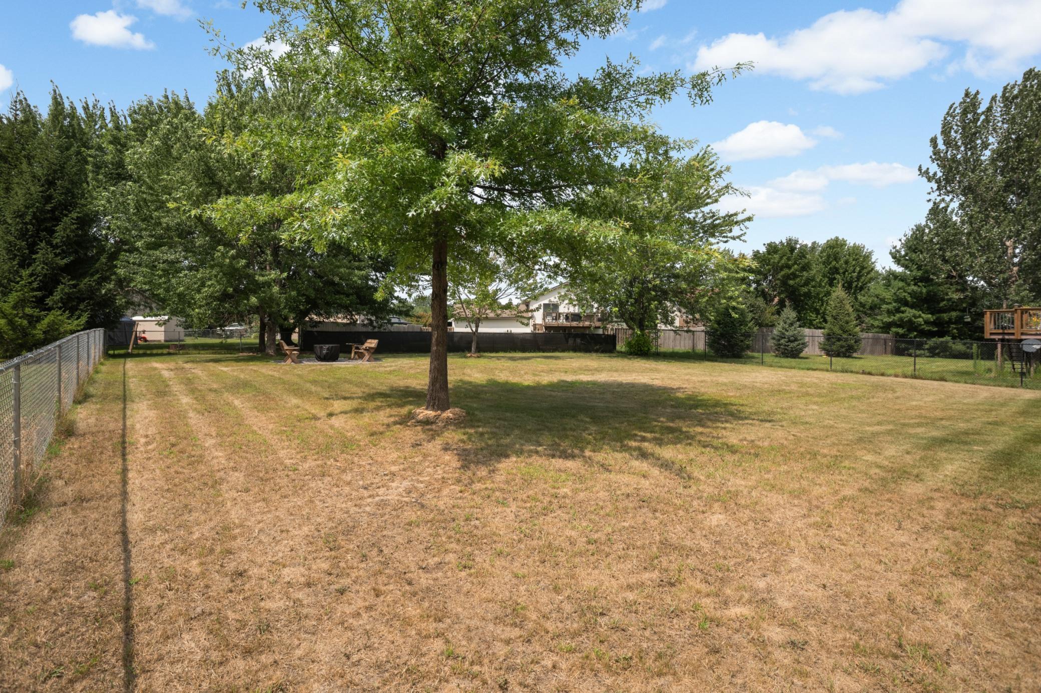 Large fully fenced yard with mature trees