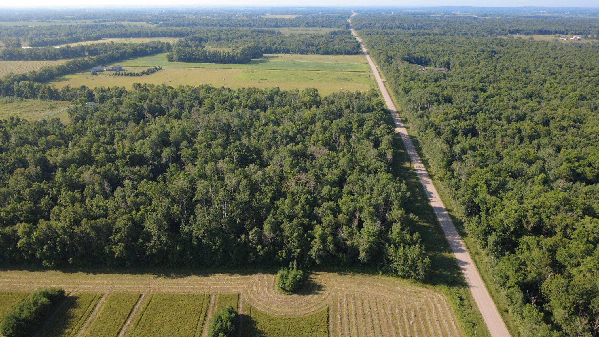 Almost 9 acres of excellent buildable land.