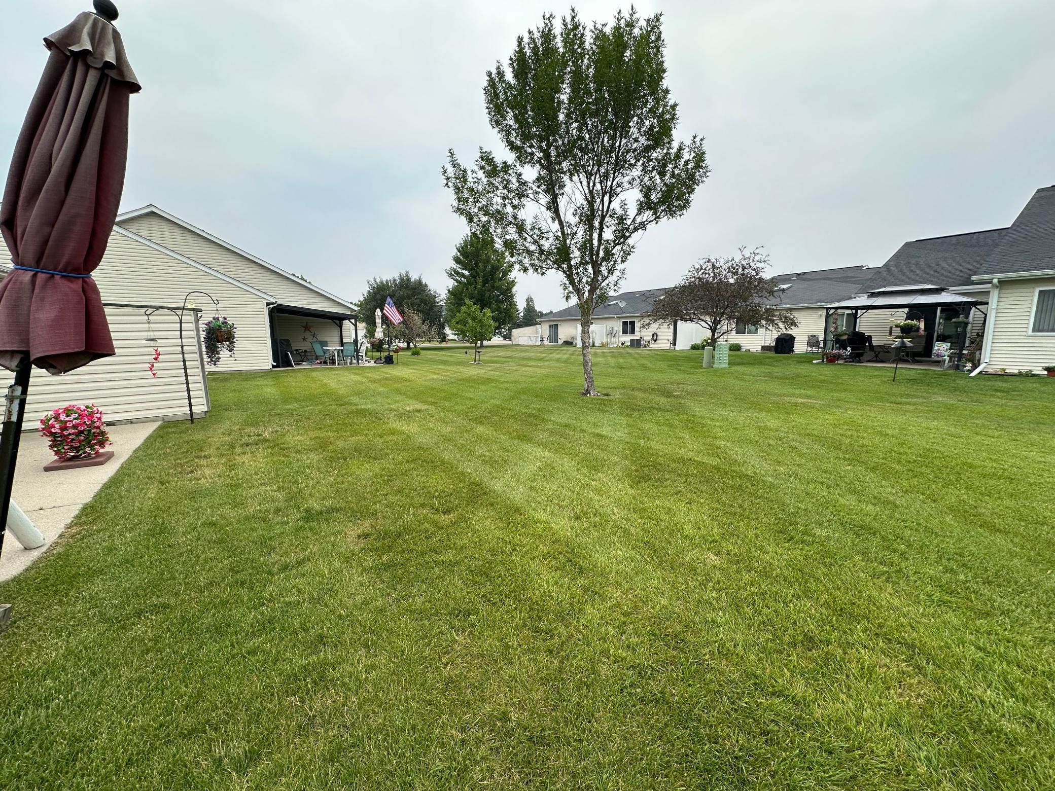 Open Ct Yard