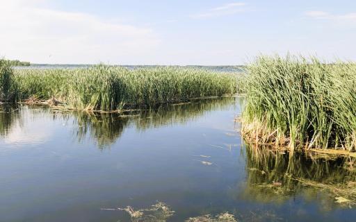 PXL_20260719_221559770.jpg