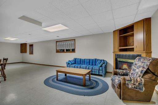 Family Room & Rec Room - lower level