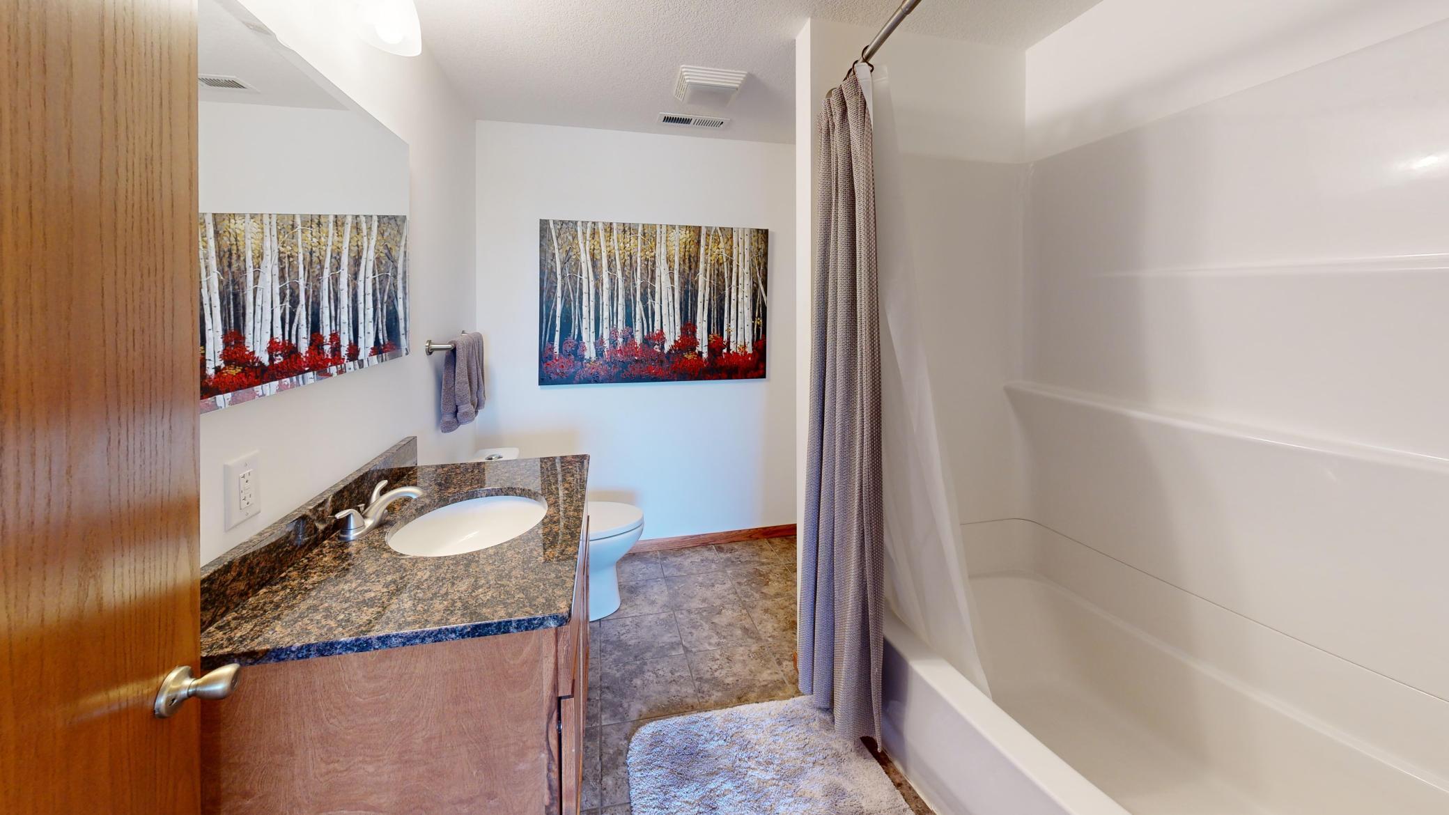 Lower Level Bath