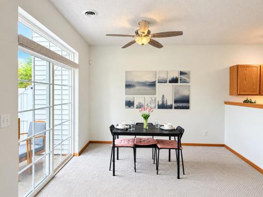 11193 204th Street W, 201, Lakeville, MN 55044