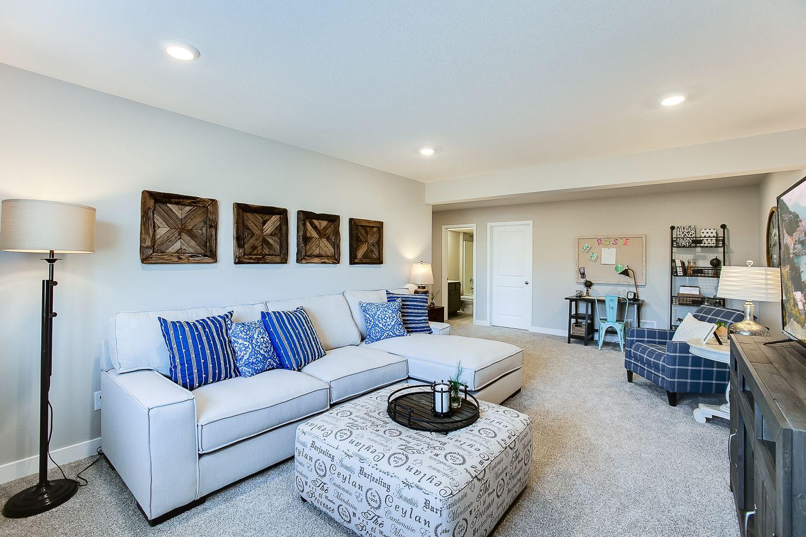 Amazing lower level finished in your new home. Colors and options will vary.