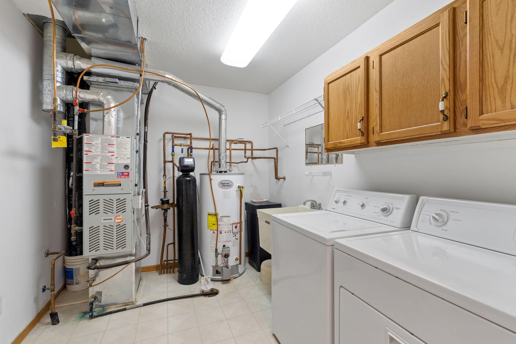 37-web-or-mls-3700 Ladyslipper N-40.jpg