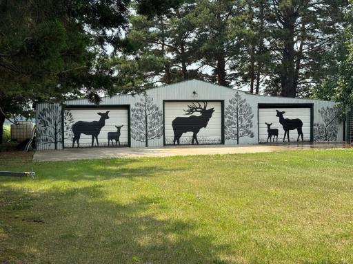 14563 125th Avenue, Wadena, MN 56482