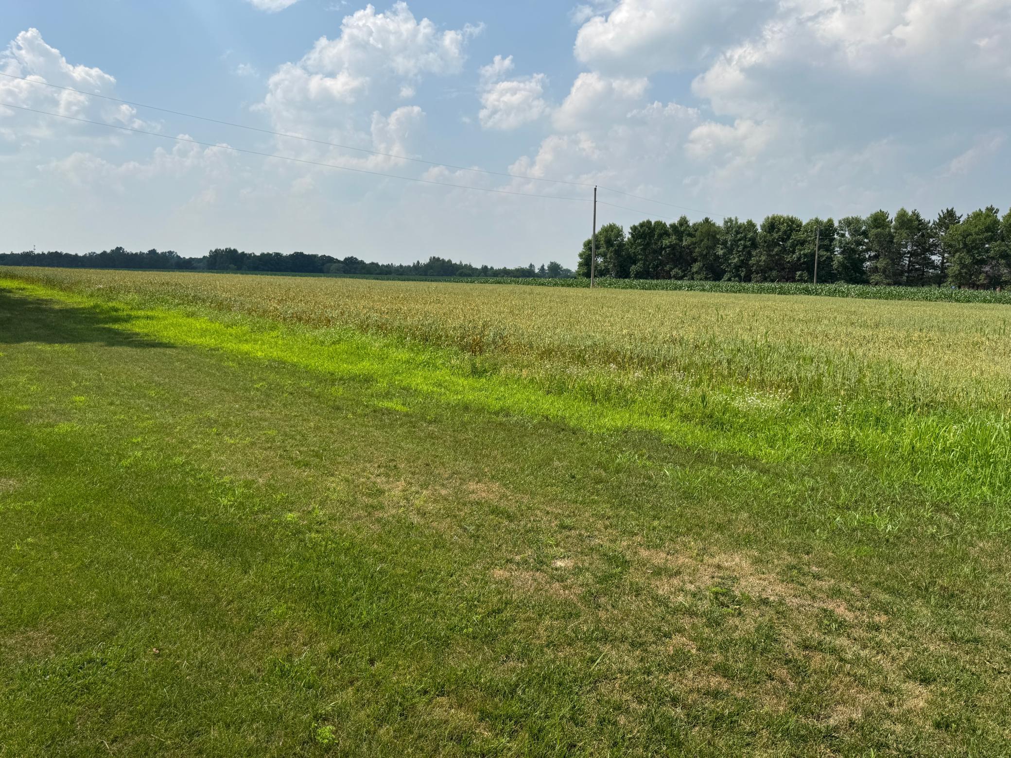 Additional Yard