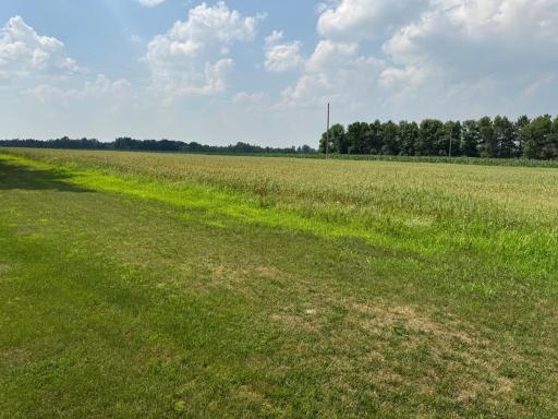 14563 125th Avenue, Wadena, MN 56482