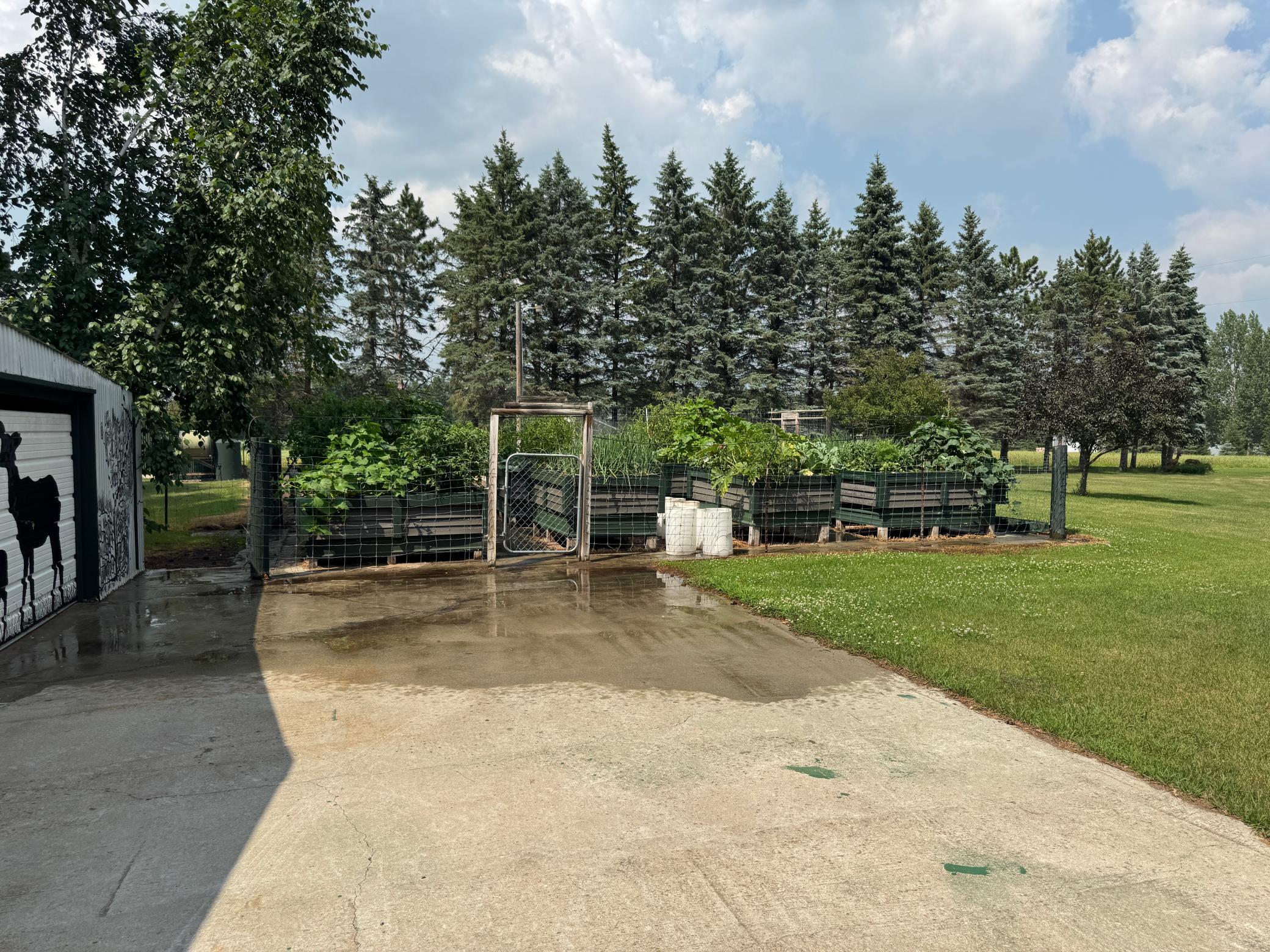 Raised Beds