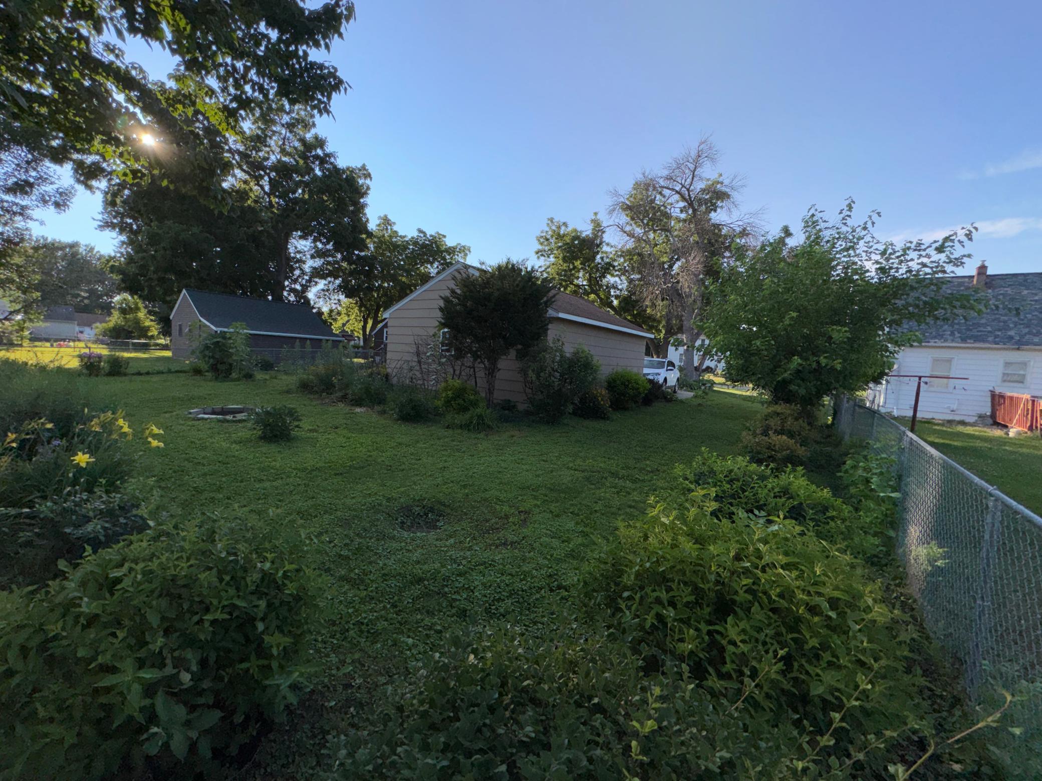 back yard.jpeg