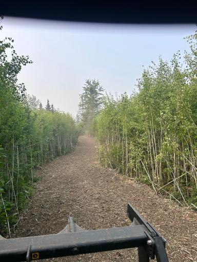 48043 Deerfield Road, Kerrick, MN 55756