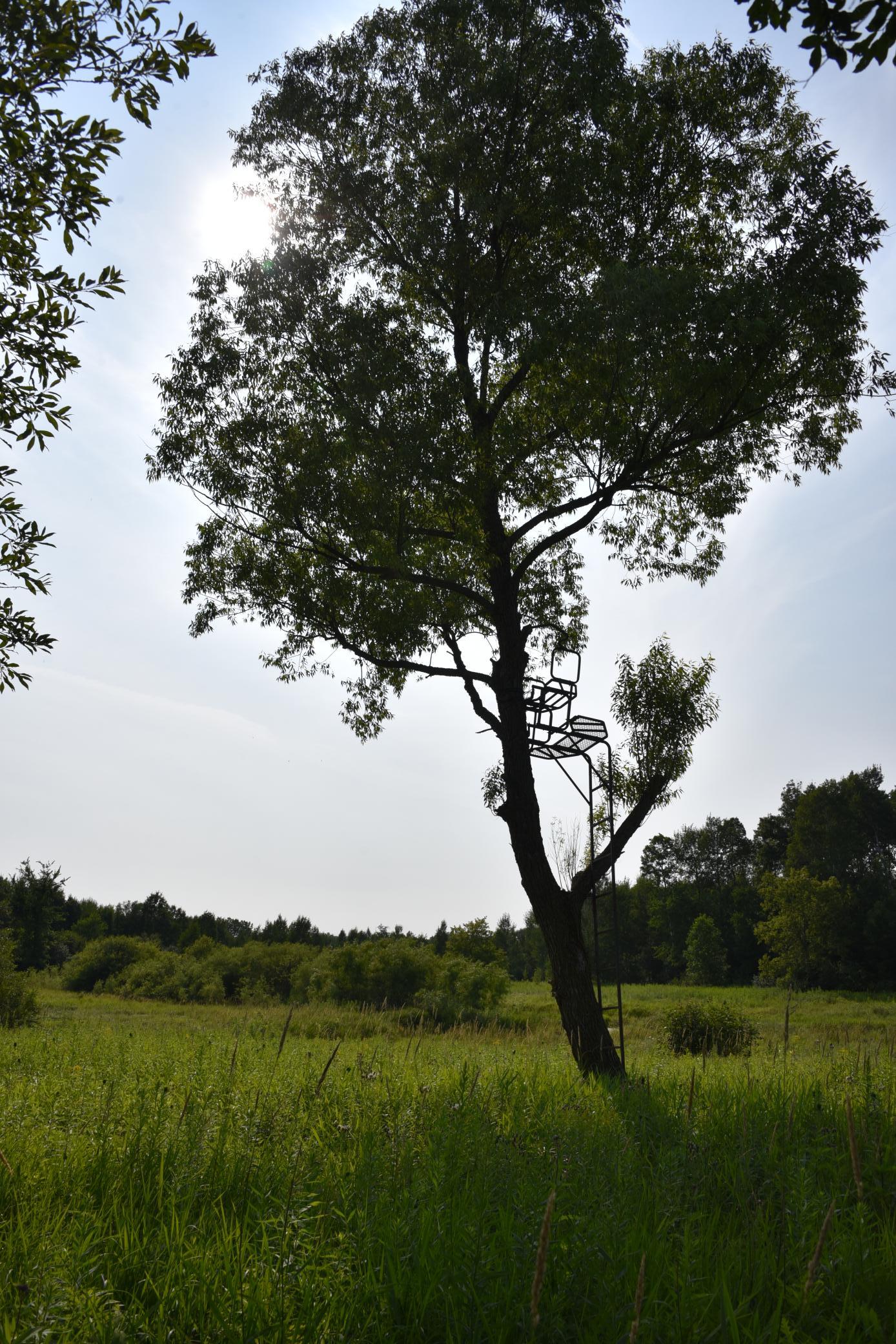 DSC_4374.JPG
