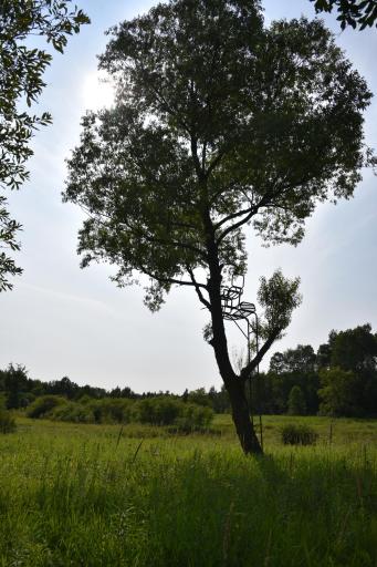 DSC_4374.JPG