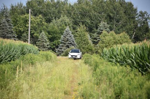 DSC_4370.JPG