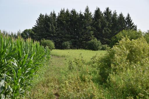 DSC_4373.JPG