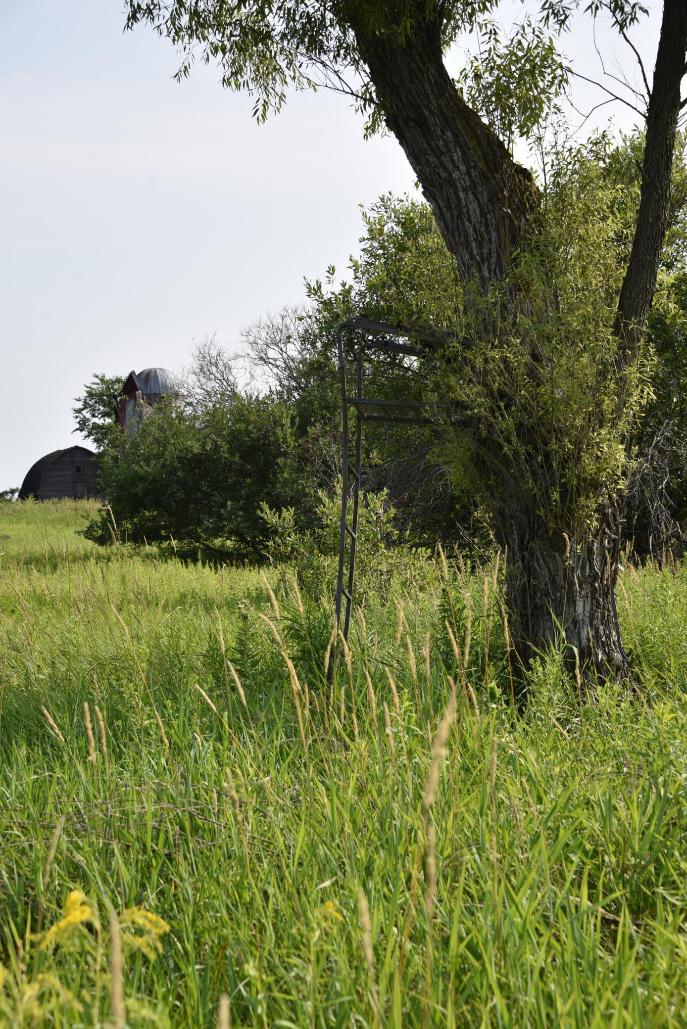 DSC_4376.JPG