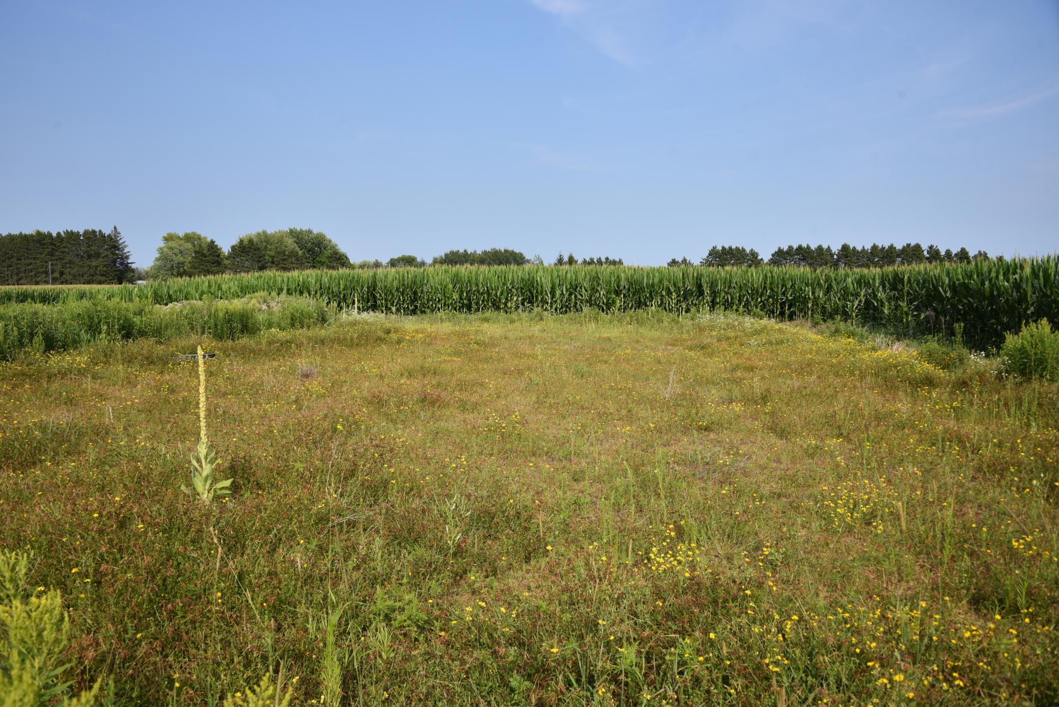 DSC_4394.JPG