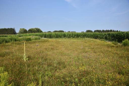 DSC_4394.JPG
