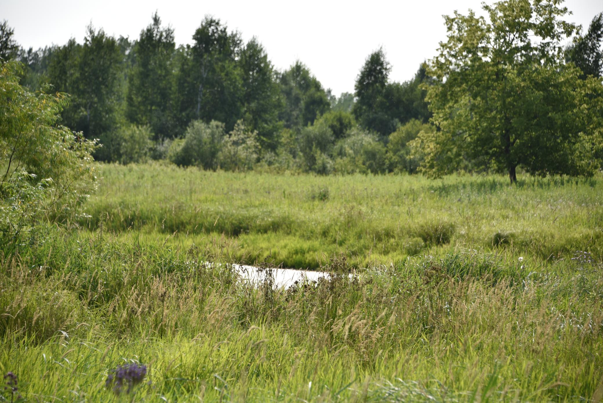 DSC_4389.JPG