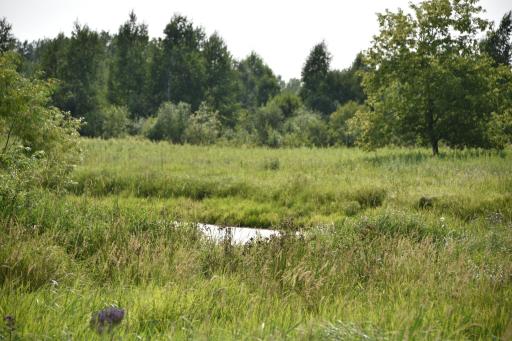 DSC_4389.JPG