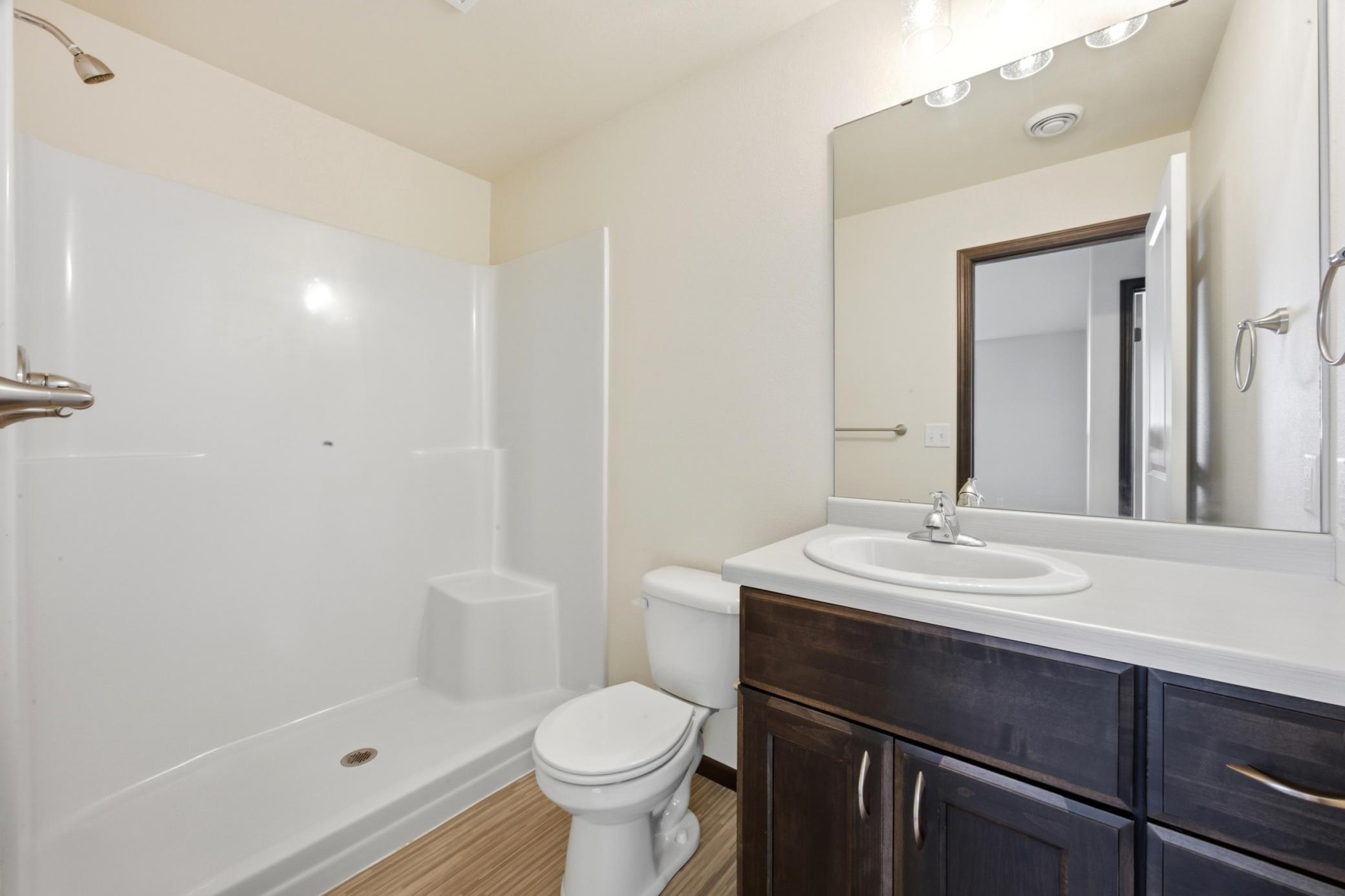 Lower Level Bathroom