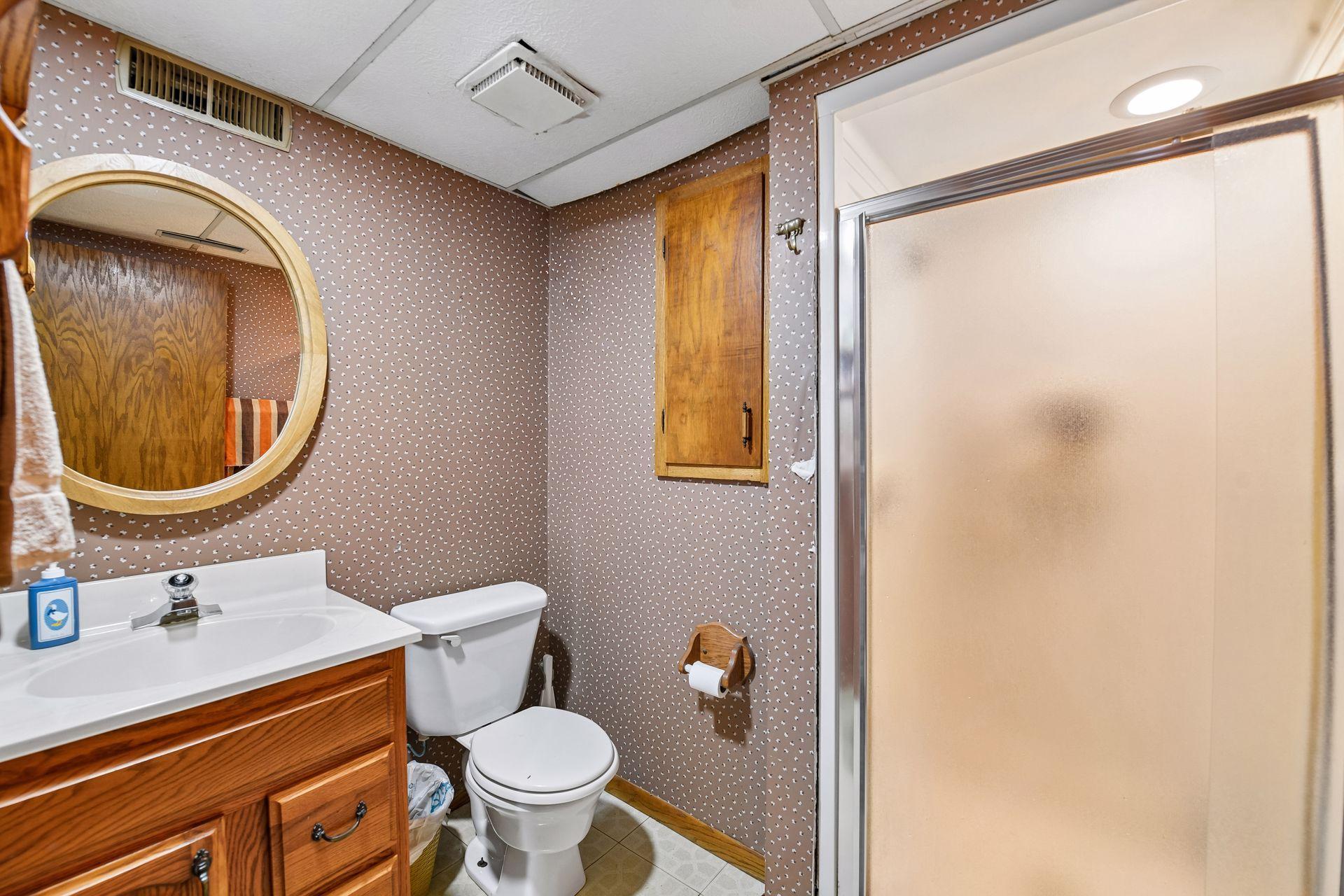 Lower Level Bathroom