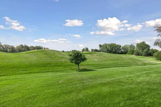 beautiful golf course views from all the back side windows