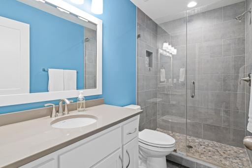 Lower level bathroom