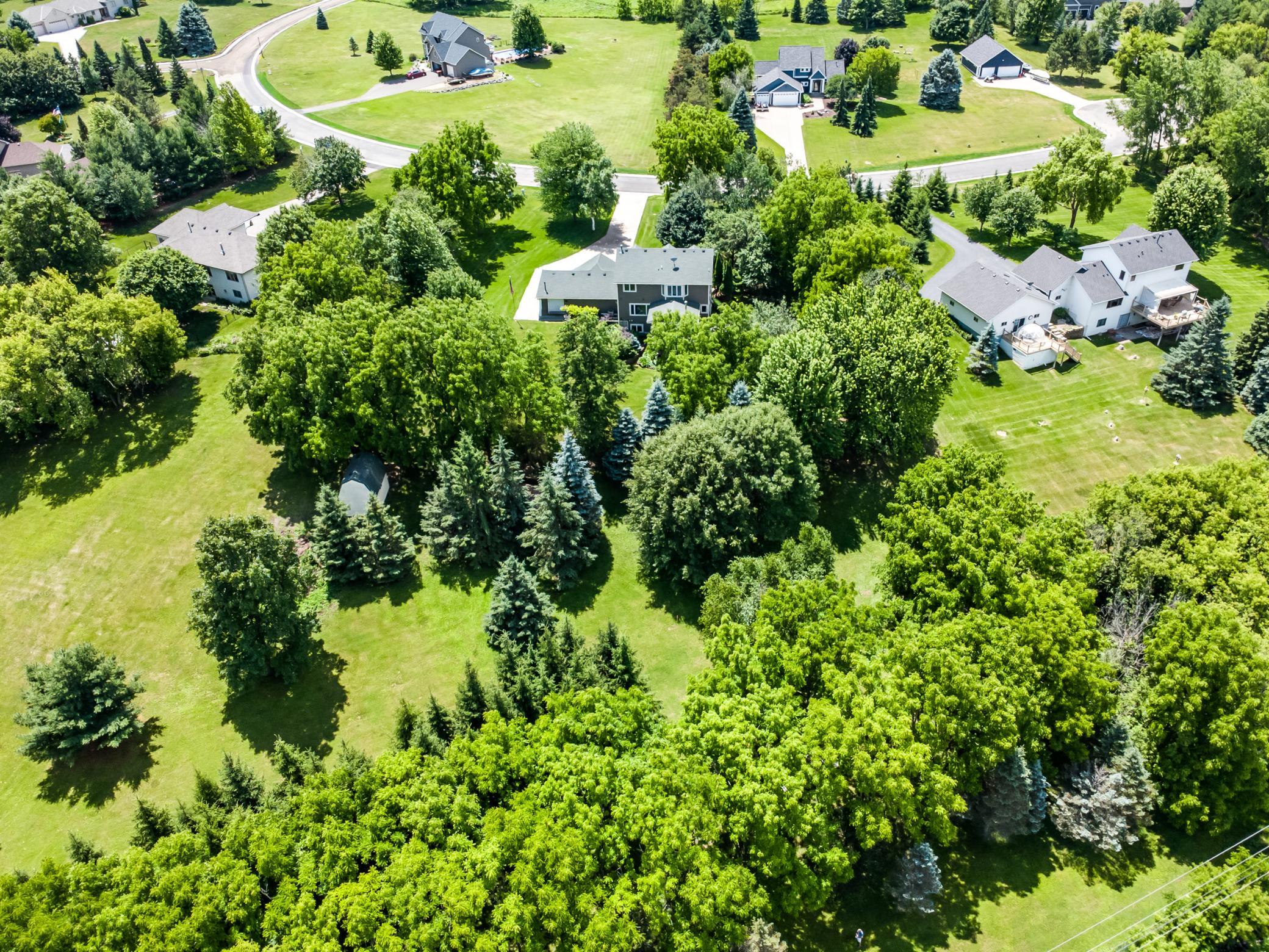 DJI_0168.jpg